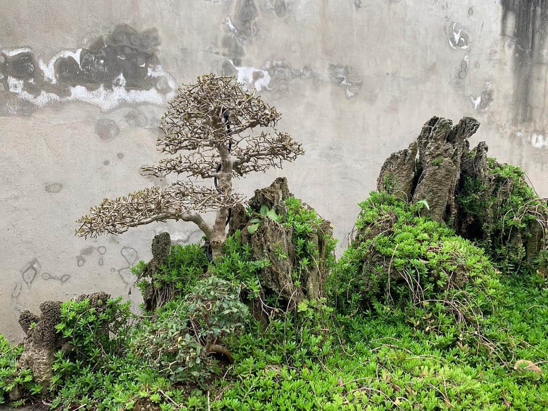 キム・ジョーンズさんのインスタグラム写真 - (キム・ジョーンズInstagram)「Mini landscape Zhang Huan」3月19日 0時43分 - mrkimjones