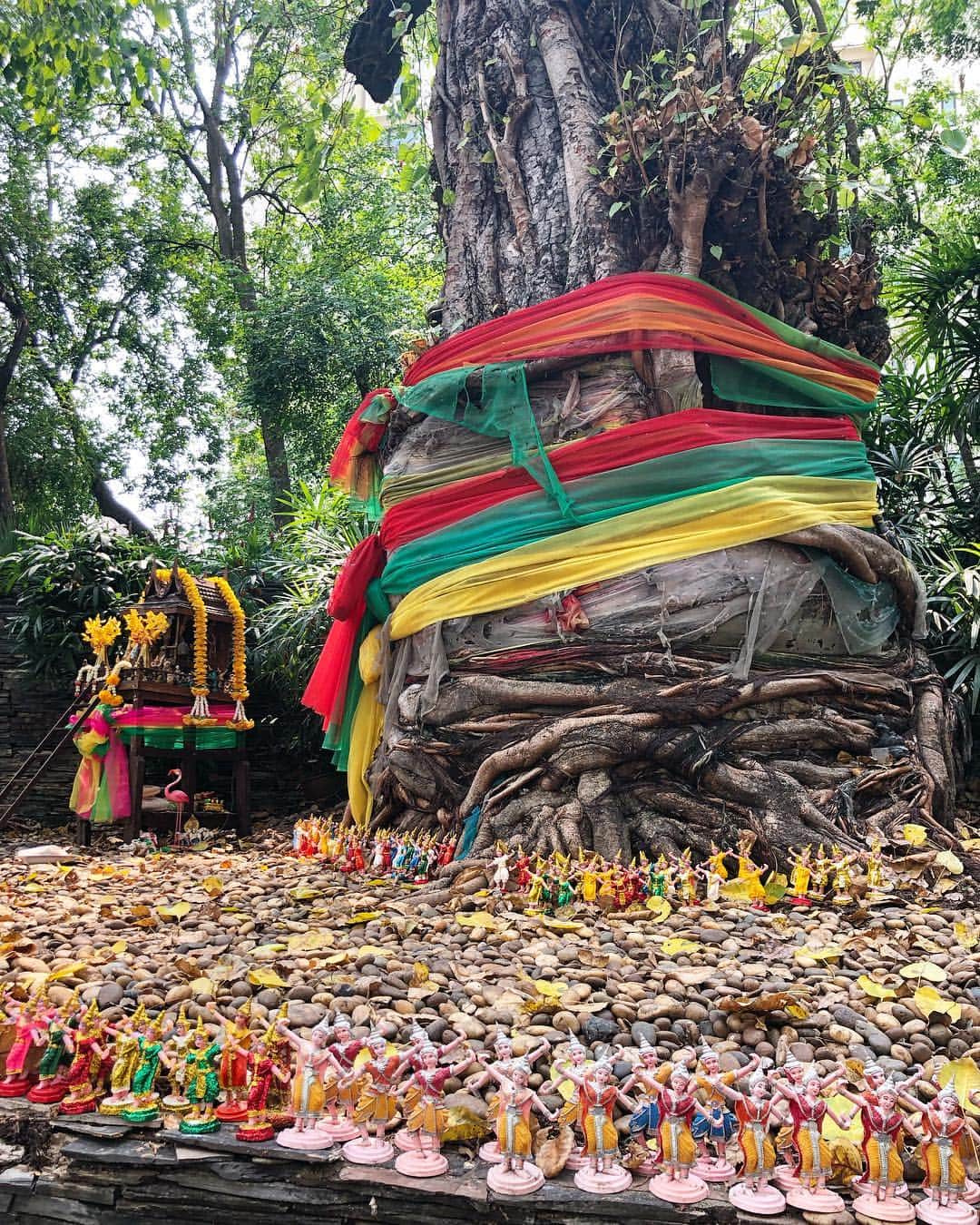 桐島かれんさんのインスタグラム写真 - (桐島かれんInstagram)「祠と菩提樹のまわりに沢山のお人形が祀られています。 #バンコク #タイ」3月18日 16時16分 - houseoflotuskaren