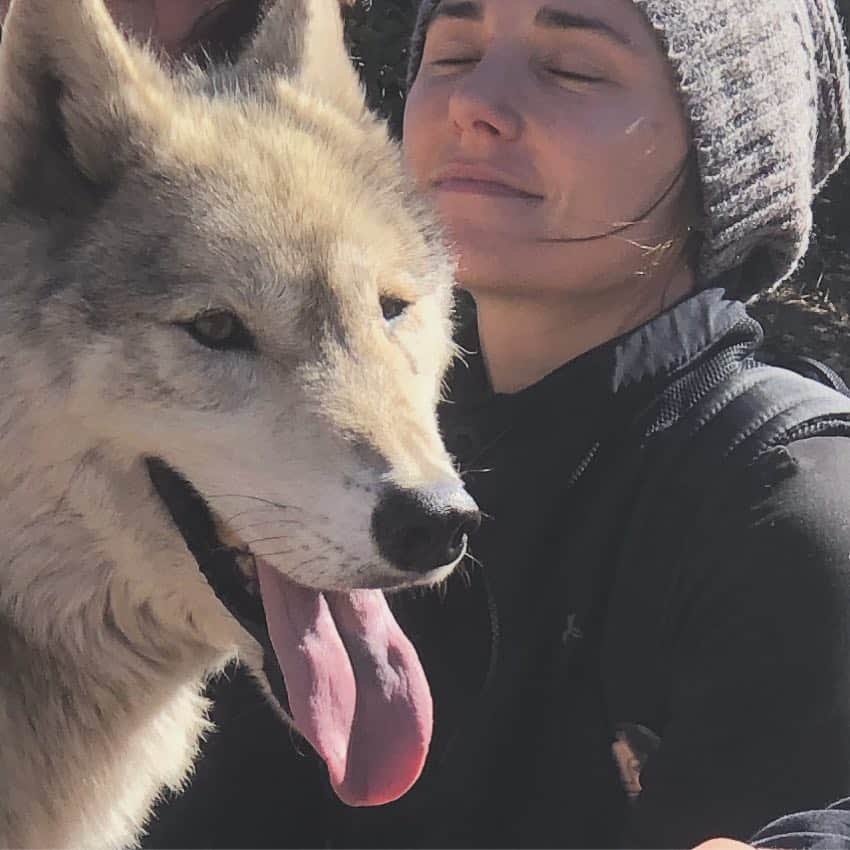 ブリアナ・エヴィガンのインスタグラム：「I had no idea walking into @wolfconnection that these animals were one of the greatest teachers I’d ever meet. We are not here to please people we’re here to bond and connect. Think about it... when I compare all the things I learned from the wolves to humans,  it’s just completely overwhelming to me what we’re missing as humans and in our world today. It’s actually simple. This experience was similar to the gorillas yet so different and so special in its own way. I can’t explain the whole story of my day but, I’ll say, this story will continue to take a toll on the rest of my life. Wolves don’t control each other. An Alfa doesn’t try to be one, it just is one, with zero ego. Packs don’t create conflict, they don’t disturb the peace, they are peace. They don’t fight within the pack, they give each other space, they trust, they protect, they always have an eye out for each other. “A pack member is someone who helps when they can, and when they can’t they lay beside you and listen.” They are independent and loving. They’re exactly what they were born to be, so are we... Stop and listen in silence. Find out who you are because you are probably way more awesome than you know. Perception is tricky. Get rid of the lies you hold on to, they’re in your head, they’re not real. I will forever be grateful for my time with them. I will forever feel them and see the wisdom behind their eyes. I will continue my life with grace and presence. I will continue to forgive even when those can’t show up to apologize. Ill remember that when there’s death there’s also fullness. I’ll remember to soften because my masculinity and femininity are both equal strengths, and they’re both beautiful sides of me. I remember now once again, my ripple effect just like yours, is contagious. My primal animalistic side is real and so is yours. We should never need but want. LOVE IS THE ULTIMATE WEAPON. My life goal is to be a fountain, so I can have me and my feet on the ground and flow freely to give with out sacrificing myself, yet always be able to show up for others. Connection, relationship, and love is all you leave with. All I ask is that you find yours. ❤️」