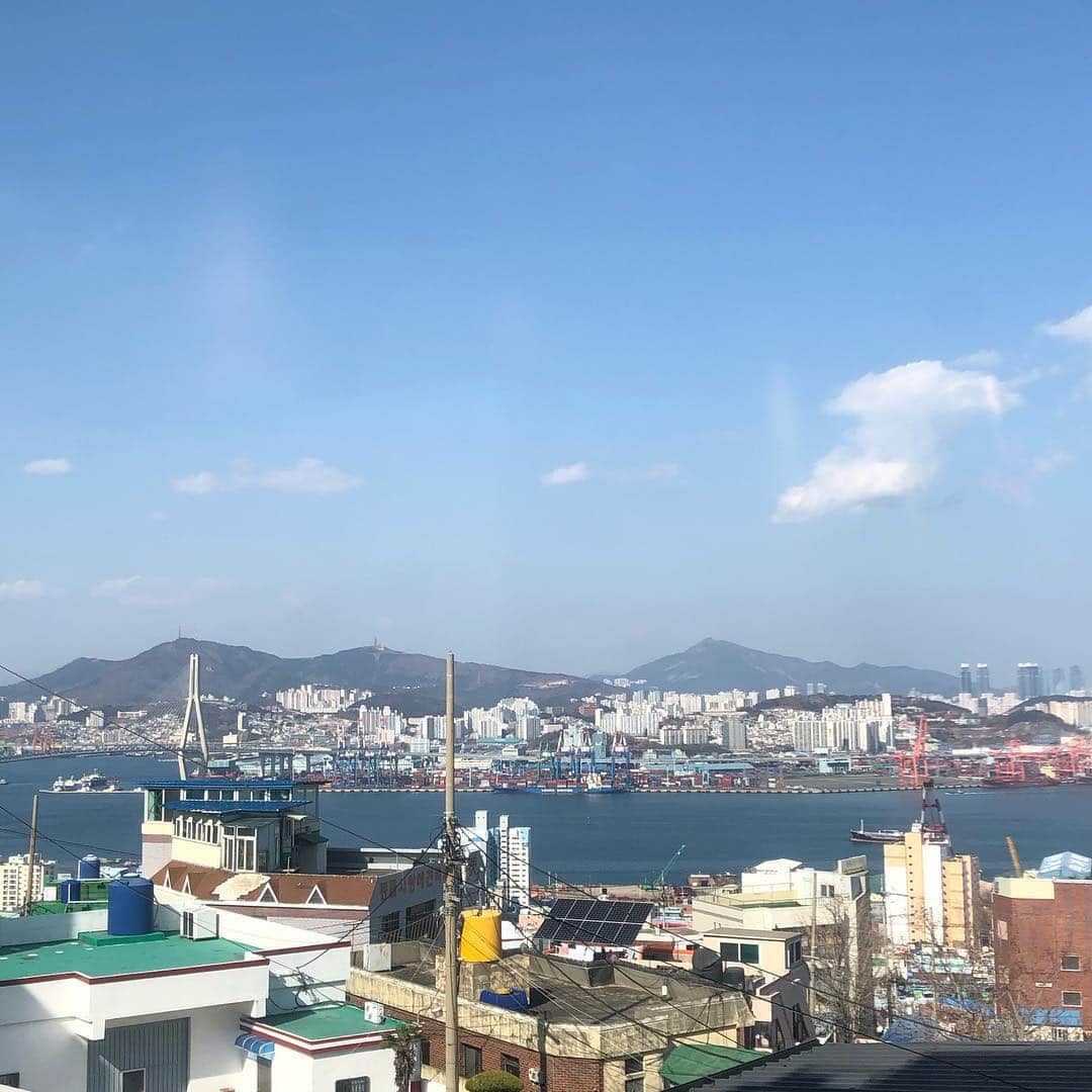 ハヌルさんのインスタグラム写真 - (ハヌルInstagram)「또 많이 먹고 왔어요🌱 급급부산먹방여행 #하늘이의맛집뿌셔 . #해운대포장마차 (랍스터 정식) #아난티 #풍원장 (꼬막정식) #속씨원한대구탕 (대구탕+알말이) #영도」3月18日 17時04分 - haneulina