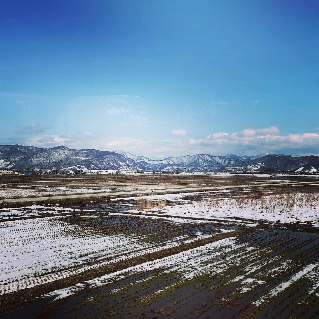 川口満里奈さんのインスタグラム写真 - (川口満里奈Instagram)「. . お正月ぶりに山形へ！ 前回来たときは雪で真っ白だったのに 今回は地面の茶色が見えていて、 春の訪れを感じました🌸 切り取って持ち帰りたいくらい、 ため息が出るほど綺麗な景色でした。. . 日曜日はモンテホーム開幕戦へ⚽️見事勝利！ ふくらはぎの筋肉痛が心地よいです☺️💓 お声がけいただいたサポーターの皆さん、 ありがとうございました🙇‍♀️💕. . またこの週末は 山形ワイヴァンズのホームの試合もあったので、 そちらは両日観戦しました✨ ワイヴァンズはチーム発足のときから 取材をさせていただいてとても思い入れがあります。 観戦するたびに声援が大きくなっている気がして、 少しずつ地域に・山形に浸透し、 根付いてきているのだなと実感しました😊💓. . モンテは勝ったし、YBCの方々にも会えたし、 ワイヴァンズは惜敗したものの チュウのダンクやブロックショットも観られたし、 祖母の納豆汁も食べられたし、 親戚のおばちゃんともお茶できたし、 楽しくて癒された、いい週末でした💓. . . #モンテディオ山形 #montedio #317山形ホーム開幕  #山形ワイヴァンズ #wyverns #山形」3月18日 17時09分 - mqrinqkqwqguchi