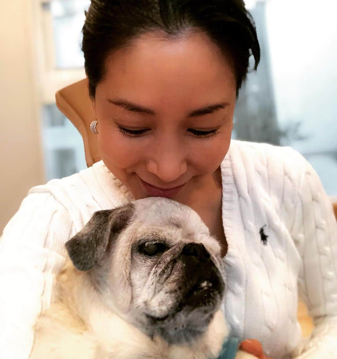 内田恭子さんのインスタグラム写真 - (内田恭子Instagram)「Happy 16th birthday, Tod!! We love you soooo much!! #pug #puglover #パグ #老犬でもアイドル #いてくれるだけでいいよ #大事な家族 #16thbirthday #内田恭子 #kyokouchida」3月18日 17時15分 - kyoko.uchida.official