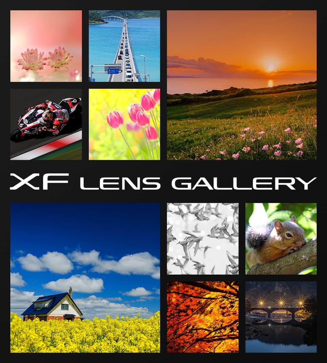 花の写真館のインスタグラム：「FUJINON XFレンズで撮影された皆さまの素敵な作品をレンズや季節ごとに楽しめるスペシャルサイト「XF LENS GALLERY」をリニューアルしました。⠀ https://xseries.tokyocameraclub.com/xflens_gallery/⠀ .⠀ さらに「FUJINON LENS GALLERY」Facebookページでシェアされた作品と、XFレンズやX-H1のモニター企画にご参加いただいた方々の作品を追加しました。Xユーザーの皆さまによる素敵な作品の数々をどうぞお楽しみください。<PR>⠀ .⠀ XF LENS GALLERY⠀ https://xseries.tokyocameraclub.com/xflens_gallery/⠀ .⠀ #富士フイルム #FUJIFILM #xシリーズ #fujifilm_xseries」