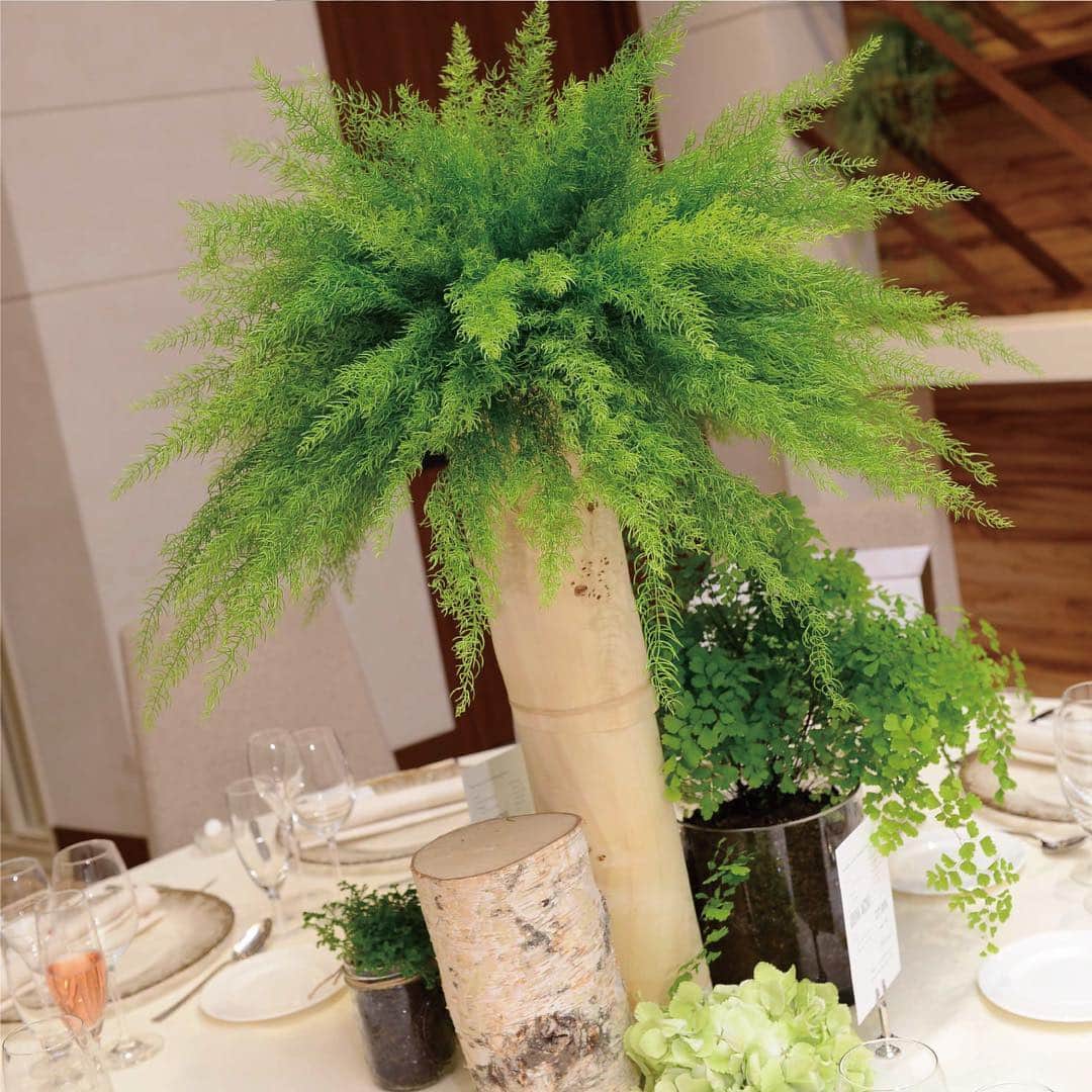 RIVIERA WEDDING　リビエラ ウェディング　公式のグルメインスタ