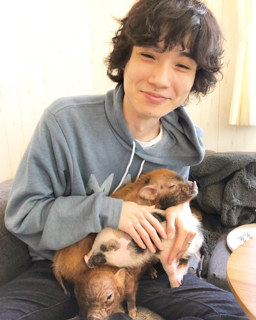 山口尚美さんのインスタグラム写真 - (山口尚美Instagram)「今日ははるみ年中さん終業式🎊🌸 ぱぱもお仕事ひと段落ついたので 念願のマイクロピッグカフェ @mipigcafe へ行ってきました☕️ 結果…めちゃめちゃ可愛かった😱🐷✨ これは飼いたくなる…🏠 パパ @seiichinagai の顔のほころびようよ😂 夜にブログレポ書くね💻🌙❣️ #mipigcafe ＃マイクロブタ #マイクロブタさんのお友だち」3月18日 17時46分 - happy_harumi