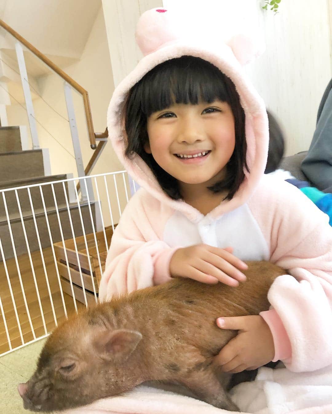 山口尚美さんのインスタグラム写真 - (山口尚美Instagram)「今日ははるみ年中さん終業式🎊🌸 ぱぱもお仕事ひと段落ついたので 念願のマイクロピッグカフェ @mipigcafe へ行ってきました☕️ 結果…めちゃめちゃ可愛かった😱🐷✨ これは飼いたくなる…🏠 パパ @seiichinagai の顔のほころびようよ😂 夜にブログレポ書くね💻🌙❣️ #mipigcafe ＃マイクロブタ #マイクロブタさんのお友だち」3月18日 17時46分 - happy_harumi