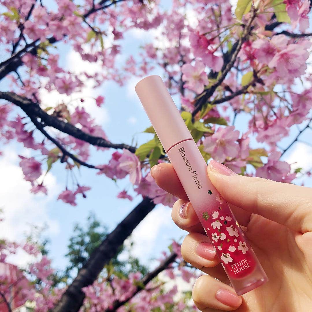 @BEAUTIST編集部さんのインスタグラム写真 - (@BEAUTIST編集部Instagram)「【エチュードハウス】から、春のピクニックをモチーフにした"ブロッサムピクニック コレクション"が登場🌸✨カラーバリエーション豊富なアイシャドウや上質なツヤ感を与えてくれるチーク、そして期間限定のベースやリップまで、桜のデザインがかわい過ぎる新作コスメです💖 . 1,2枚目＆3枚目左📷 まるでベルベットのような、触れたくなる質感のリキッドリップ💋ひと塗りで見たままの高発色で、色持ちもティント並みです✨ . ピクニック マットシックリップラッカー 限定3色 各1,350円 . . 3枚目右＆4枚目📷 春の陽気でポッと上気したような頬を演出するチーク🌸しっとりとしたパール入りのパウダーが、肌に上質なツヤをもたらします💎 . ピクニック ブロッサムチーク 全4色 各900円 . . 5,6枚目📷 ふんわりとやわらかなつけ心地のアイシャドウ👀✨アイベースとして使えるマットタイプや、ラメを散りばめた上品なグリッタータイプなど、思いのままの印象を楽しめるラインアップです👼 . ピクニック エアームースアイズ 全8色 各800円 . . 7枚目📷 ボトルにときめき、リキッドの美しさに息をのむ、メイクアップベース🌸みずみずしく伸びるジェルベースのテクスチャーで、肌の表面をつるんとなめらかに包み込みます✨ . ピクニック グロウオンベース ハイドラ 限定1種 1,800円 . . すべて発売中 . @etudehousejapan #エチュードハウス #ピクニックマットシックリップラッカー #ピクニックブロッサムチーク #ピクニックエアームースアイズ #ピクニックグロウオンベースハイドラ #リップ #チーク #アイシャドウ #化粧下地 #美容 #コスメ #化粧品 #メイク #新作コスメ #限定コスメ #春コスメ #韓国コスメ #アットコスメ #etudehouse #lips #blush #eyeshadow #makeupbase #instabeauty #2019ss #makeup #cosmetics #ilovemakeup #beautynews #atcosme」3月18日 18時04分 - at_cosme