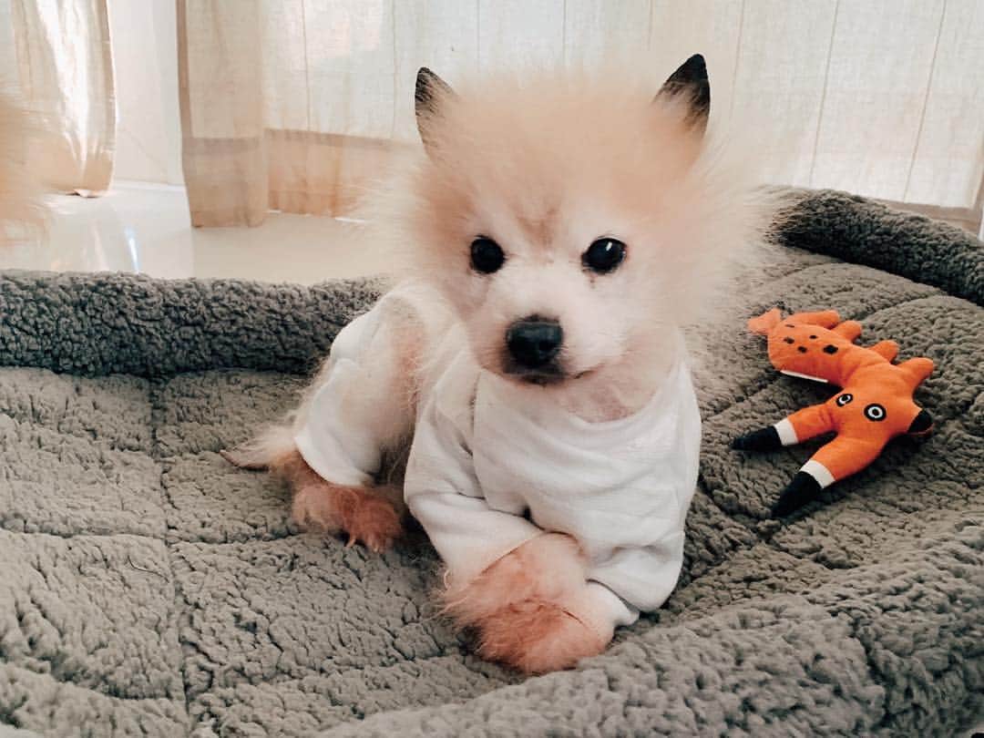 r_oseのインスタグラム：「I sleep 20 hours a day🐰〰️」