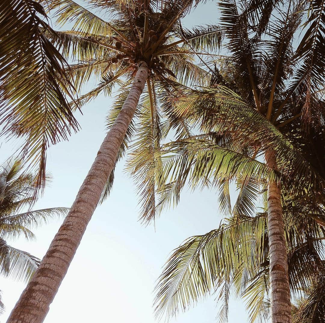 のインスタグラム：「🌴🌞☁️ #paradise」