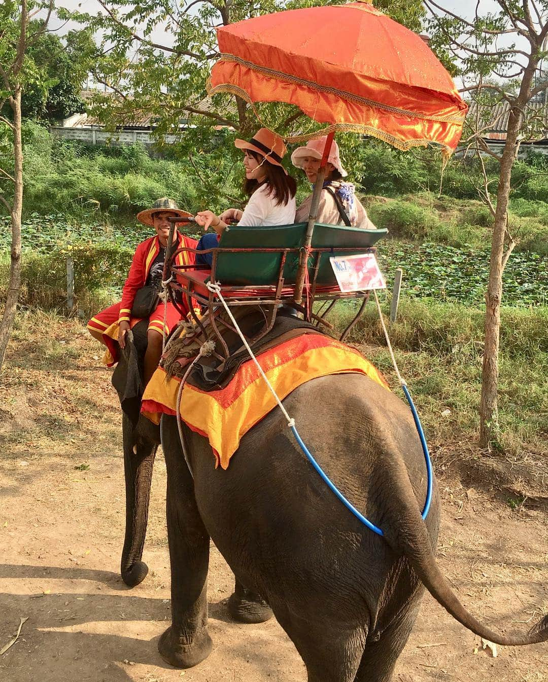 佐藤美樹さんのインスタグラム写真 - (佐藤美樹Instagram)「アユタヤではゾウに乗ってお散歩🐘足元には赤ちゃんゾウ。かわゆしでした💓 #愉快な象使いのお兄さん #もともとは戦象 #意外と安定感ありました #記念になります #象もかっこいいなぁ #母娘旅行 #タイ #アユタヤ #アユタヤツアー #travel #sightseeing」3月18日 18時52分 - satomiki0224