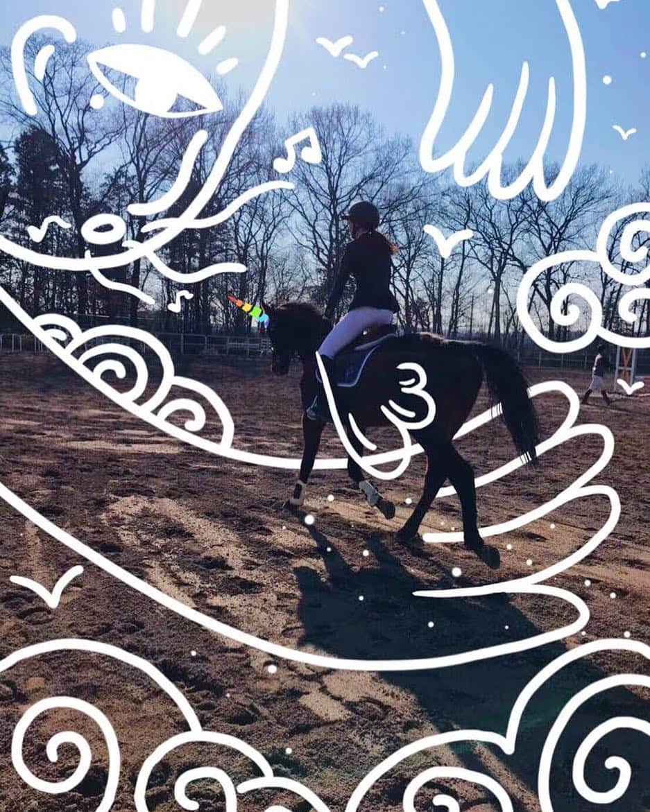 ジュディ舞衣のインスタグラム：「Unicorns are real🦄 (And they're fluffy💕) ． ． ． Thank you to the most talented @sophiarie for the most appropriate doodles♡ #unicorn #unicornsarereal #doodle #ridingunicorns #horseshow #horses #ottb #fluffy #love #vivo #sophiarie #illustrator #instaart #illustration #馬 #ユニコーン #乗馬 #アート #イラストレーター #イラスト」