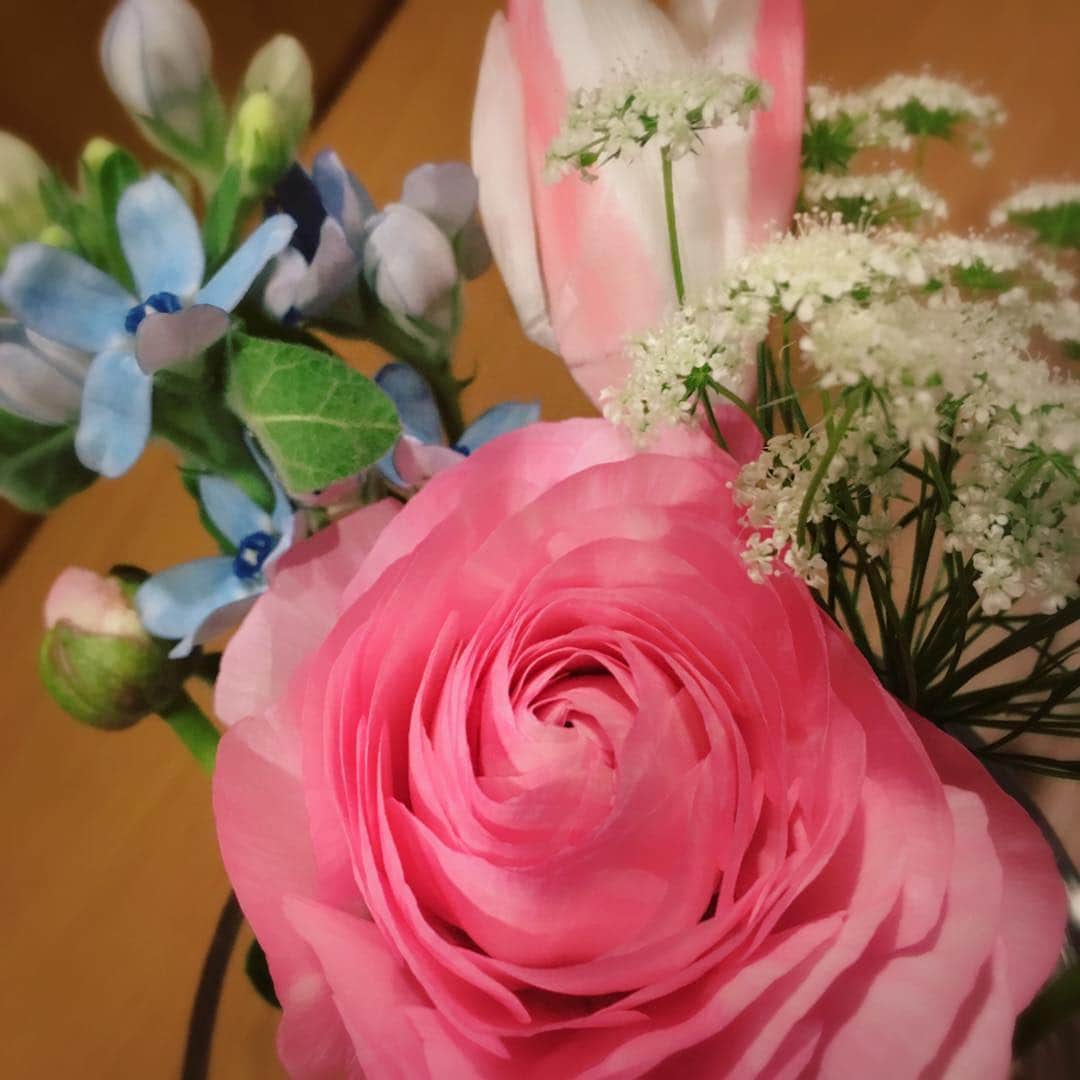 石川彩夏さんのインスタグラム写真 - (石川彩夏Instagram)「🌷🌸🌺🌻 * 今回✨ お花の定期便@bloomeelifeさんでお花注文してみました☺️✨ これ500円のプランなんだけど🤔 お値段以上の質🤭✌️ それに、ポスト投函だから🤗💕 お仕事で帰宅が遅くなっても 受け取れて凄く良かったなぁ😍 春に向けてお部屋も先取り完了です✌️ * クーポン期限🌸2018年5月31日 クーポンコード🌸orange187 *」3月18日 19時01分 - ayaka0711zi