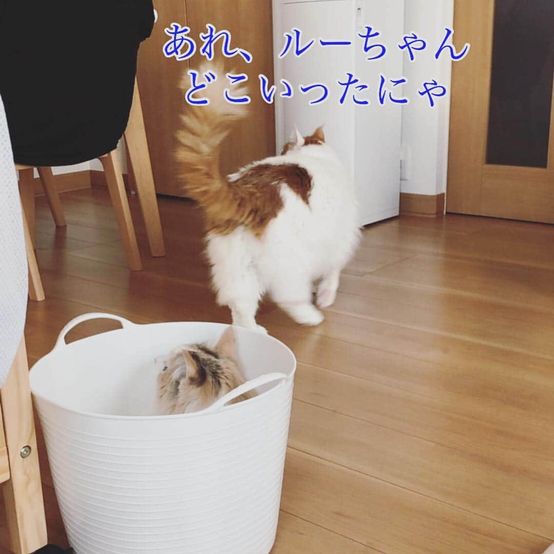 廣永遼太郎のインスタグラム