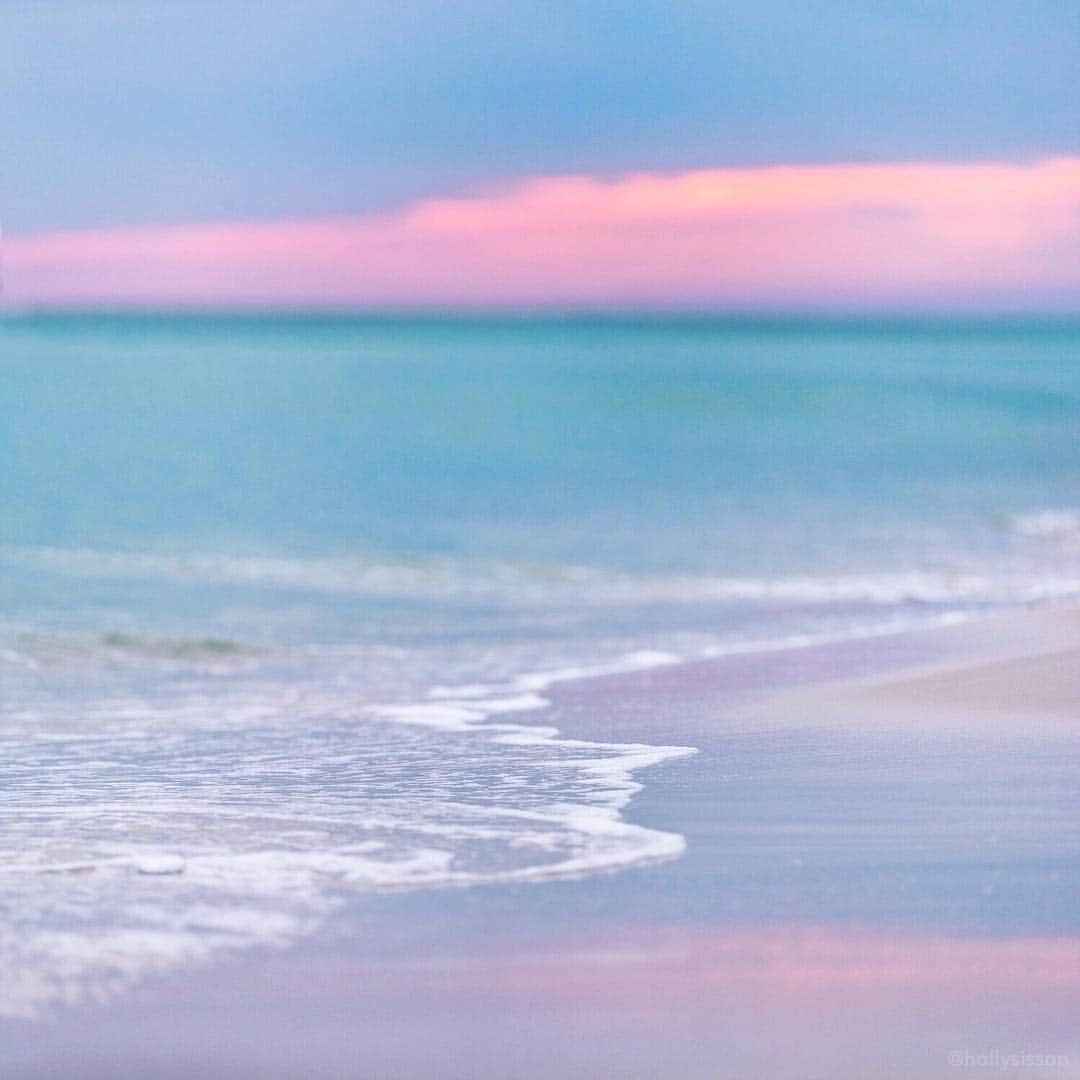 Holly Sissonさんのインスタグラム写真 - (Holly SissonInstagram)「Pastel colours at Henderson Beach State Park @VisitFlorida #LoveFL #LiveAmplified @SouthWalton #SouthWalton #HendersonBeachStatePark ~ Canon 1D X MkII + 70–200 f2.8L IS MkII @  f2.8 200mm (See my bio for full camera equipment information plus info on how I process my images. 😊) ~ #pickmotion」3月18日 20時46分 - hollysisson