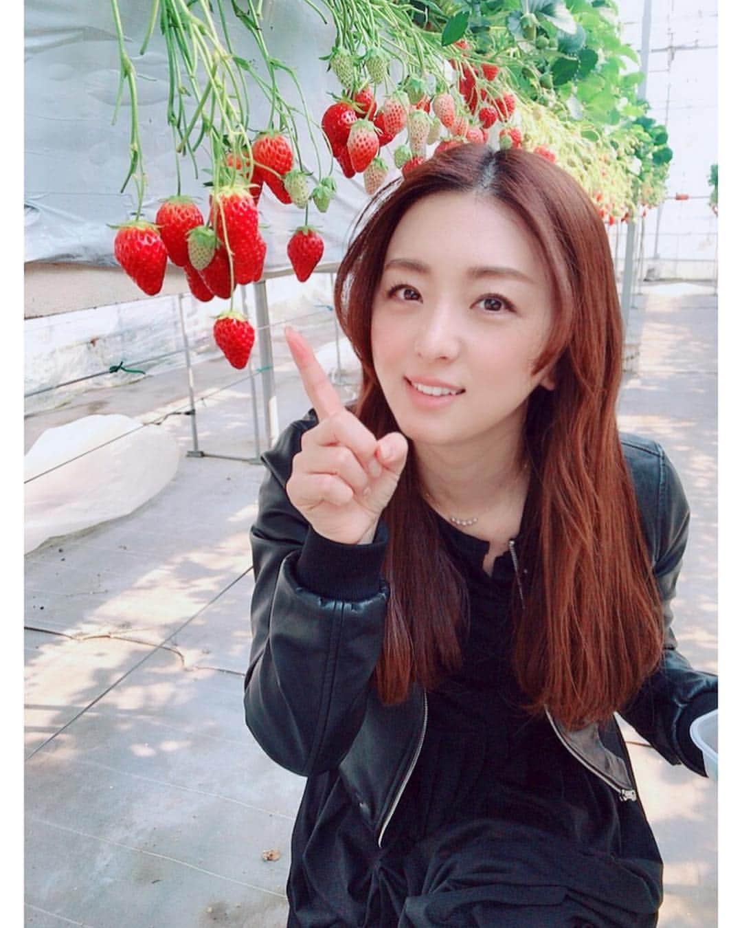 祥子さんのインスタグラム写真 - (祥子Instagram)「🍓 母が東京に遊びに来てくれました🥰 いちごの季節なのでいちご狩りへ！ ビニールハウスの中はいちごの甘〜い香りが充満💓 美味しいいちごを2人でお腹いっぱい食べたよ😋 マザコンの私は母と過ごす時間が至福の時間🐶💖 今回もありがとね♡お母さん☺️❤️ #いちご狩り #いちご #strawberry #春 #spring #果物狩り #高設栽培 #かわいい #甘い #美味しい #母 #大好き #感謝」3月18日 21時14分 - sho_ko.0413