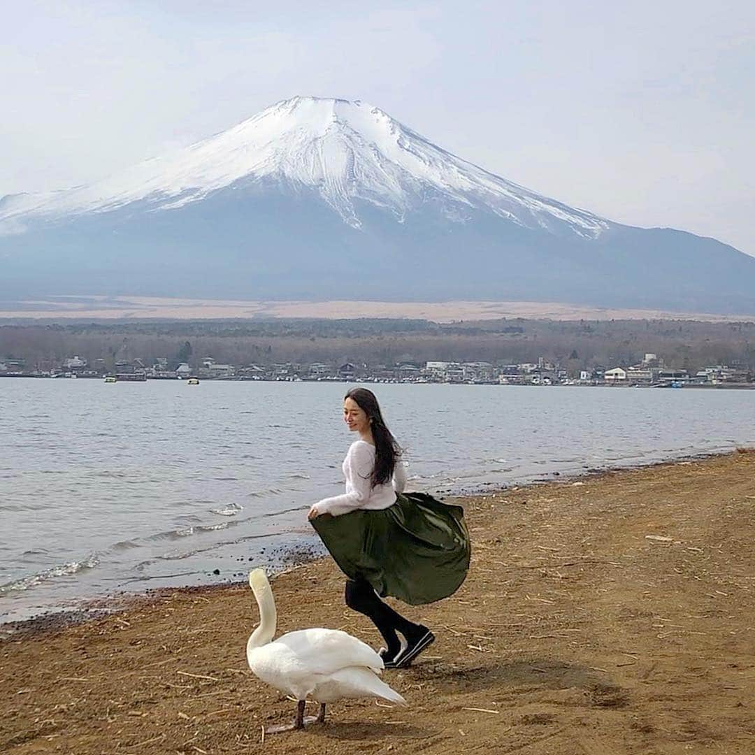 黒澤ゆりかさんのインスタグラム写真 - (黒澤ゆりかInstagram)「白鳥さんも虜にするスカートふわりです💕🦢笑笑 1富士2白鳥3ふわり #日本一めくられてる  #model #art #japanesegirl ﻿ # collaboration #富士山 #白鳥 #黒澤ゆりか #yurikakurosawa  #ミニスカート #skirt #スカートふわり #スカートめくり #チラリズム # #japan #art #photo #モンローガール #和製モンロー #スカートめくられのプロ  #グラビア #professional #ヤバスタ #浪漫 #marilynmonroe #スカートめくりマイスター #monroegirl﻿ #スカートちゃん #ヤバスタ #チラリズム #followme﻿ #本日のスカートふわり﻿ #角度を変えたくなる写真﻿ ❤︎#produceYURIKA﻿」3月18日 21時21分 - yurikakurosawa