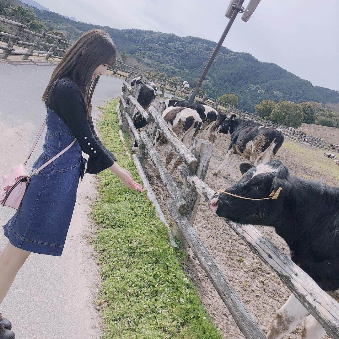 田中菜津美さんのインスタグラム写真 - (田中菜津美Instagram)「牛さん🐮💕 何回も舐められそうになりました😂 . 癒やされたぁ🐮🐮🐮💕 #ootd #牛 #モーモーランド #牧場 #福岡 #観光 #自然 #動物」3月18日 21時45分 - natsumitanaka_0810