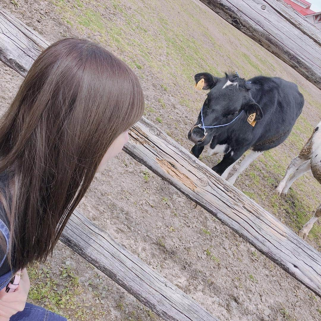 田中菜津美さんのインスタグラム写真 - (田中菜津美Instagram)「牛さん🐮💕 何回も舐められそうになりました😂 . 癒やされたぁ🐮🐮🐮💕 #ootd #牛 #モーモーランド #牧場 #福岡 #観光 #自然 #動物」3月18日 21時45分 - natsumitanaka_0810