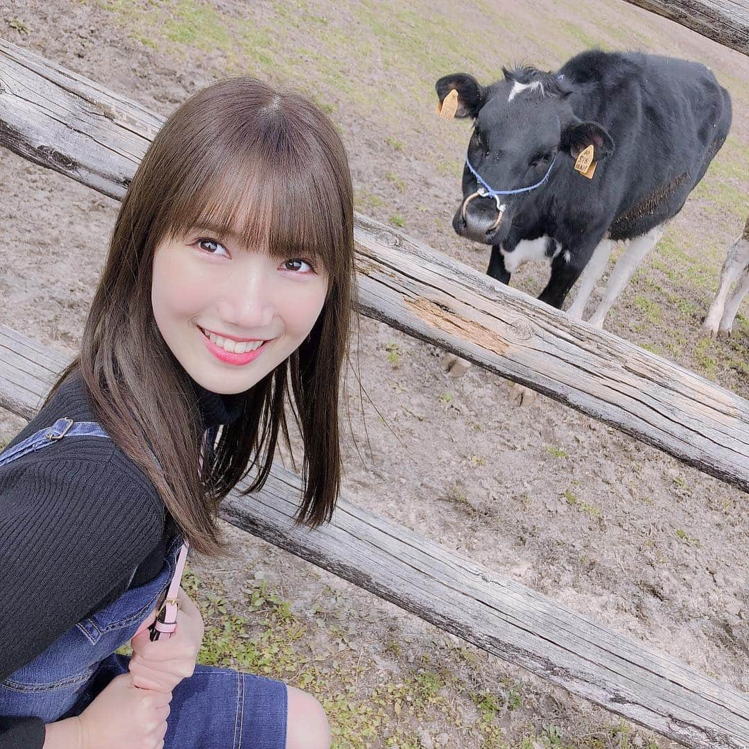 田中菜津美さんのインスタグラム写真 - (田中菜津美Instagram)「牛さん🐮💕 何回も舐められそうになりました😂 . 癒やされたぁ🐮🐮🐮💕 #ootd #牛 #モーモーランド #牧場 #福岡 #観光 #自然 #動物」3月18日 21時45分 - natsumitanaka_0810