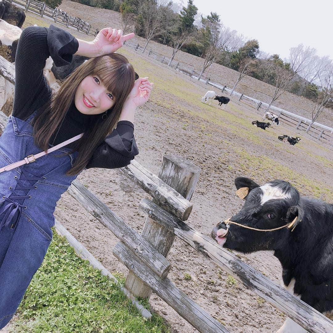 田中菜津美さんのインスタグラム写真 - (田中菜津美Instagram)「牛さん🐮💕 何回も舐められそうになりました😂 . 癒やされたぁ🐮🐮🐮💕 #ootd #牛 #モーモーランド #牧場 #福岡 #観光 #自然 #動物」3月18日 21時45分 - natsumitanaka_0810