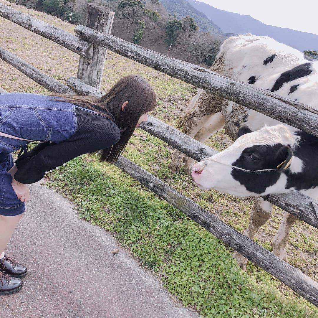 田中菜津美さんのインスタグラム写真 - (田中菜津美Instagram)「牛さん🐮💕 何回も舐められそうになりました😂 . 癒やされたぁ🐮🐮🐮💕 #ootd #牛 #モーモーランド #牧場 #福岡 #観光 #自然 #動物」3月18日 21時45分 - natsumitanaka_0810