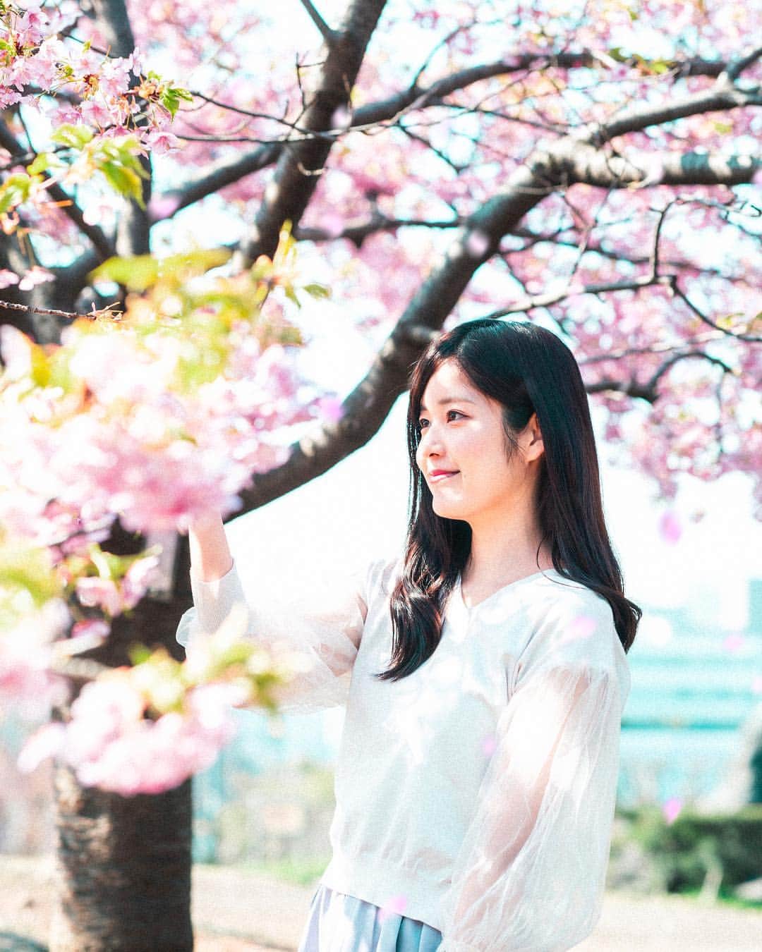 真原彩さんのインスタグラム写真 - (真原彩Instagram)「・ ・ 桜の写真しばらくアップしていきます！🌸 お付き合いいただければ嬉しいです😀 ・ 以前お仕事でお世話になったことがある会社の方に撮っていただきました！ とても綺麗！ 感謝です✨ ・ 📸@m.sue___」3月18日 21時43分 - sanahara_aya