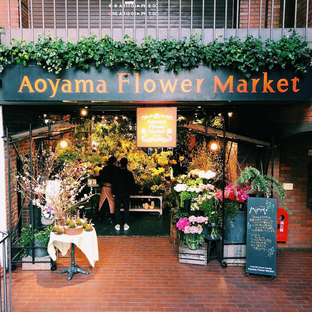 青山ウェディングタウンフォーラムさんのインスタグラム写真 - (青山ウェディングタウンフォーラムInstagram)「. お花と緑に囲まれながらお茶や食事を楽しめる "Aoyama Flower Market TEA HOUSE"🌸☕️ （青山フラワーマーケット ティーハウス）をご紹介 . 今回ご紹介するのは全国に展開しているお花屋さん 「青山フラワーマーケット」のカフェです☺️🍀 正面のお花屋さんの店頭から入り、奥に進むと 温室をイメージしてつくられた素敵な空間が カフェになっているんです！✨ . 左右から、天井から、テーブルの上まで 文字通りの「お花と緑に囲まれた」空間❤️😳 大きな窓からの日差しも加わって とても心地いいです🌷 . ランチは旬の野菜などが使われていて 季節の味わいが楽しめます🍽 . 世代問わず、とても癒される空間なので お母さんやおばあちゃんとも一緒に 訪れてみてはいががでしょうか💕☺️ . ◾️店舗情報 青山フラワーマーケット ティーハウス 南青山本店 住所 : 東京都港区南青山5-1-2 TEL：03-3400-0887 . . #春 #青山ランチ #お花見 #温室 #お花 #フラワーマーケット #春休み #春分の日 #青山 #カフェ #表参道カフェ #表参道カフェ #癒し #デート #カップル #青山ウェディングタウンフォーラム #青山 #ウェディング #ウエディング#青山ウェディングスクール #ウェディングスクール#aoyamaweddingschool #school#aoyamaweddingtownforum #wedding」3月18日 22時02分 - tokyo_weddingforum