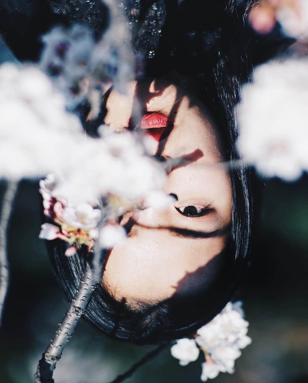 のインスタグラム：「. . 🌸 Blossoms Soon 🌸 . . ::」