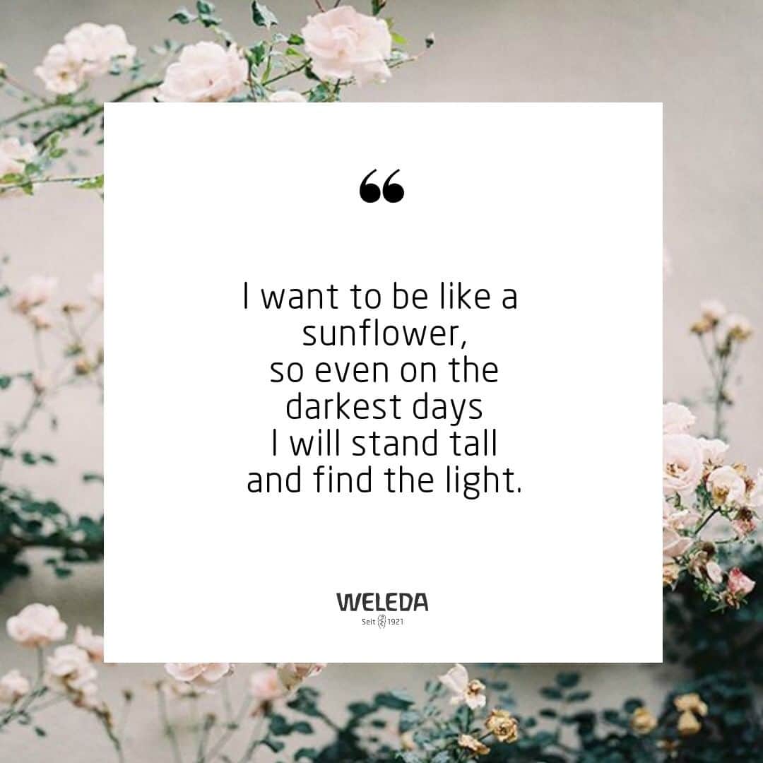 Weledaのインスタグラム：「Always seek the silver lining ❤️ #Quoteoftheday」
