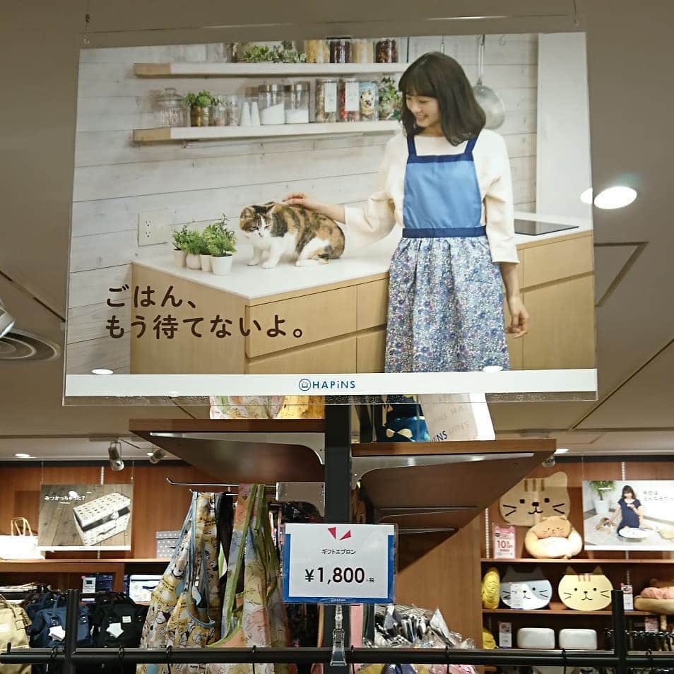 茶乃さんのインスタグラム写真 - (茶乃Instagram)「2019/03/18 昨日、ストーリーズにアップしたものをこちらにも記念にpostしておきます😊 HAPiNS(@hapins_official )#ふくふくにゃんこ のポスターに茶乃がいます😺 PARCO錦糸町店にはこんなにたくさん！ 数ヶ月掲示されるそうなので、もしよかったら見に行ってみて下さい😄 * #HAPiNS #ハピンズ #cat #catstagram #catsofinstagram #instacat #calico #petstagram  #weeklyfluff #excellent_cats #bestmeow #cat_features #猫 #三毛猫 #ふわもこ部 #ブヒブヒ倶楽部・#あご肉部 マネージャー #IGersJP #eclatcat #ペコねこ部 #スタペグラム #猫びよりプラス #nyancon01」3月18日 22時01分 - chanoiro