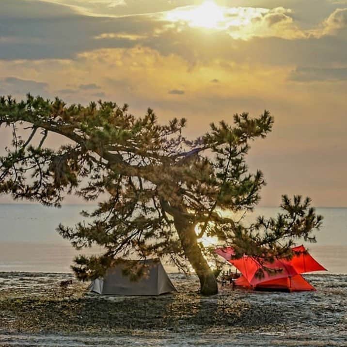 hinata_outdoorさんのインスタグラム写真 - (hinata_outdoorInstagram)「@mafu_13さんのpic✨  海をバックにデュオキャンプ⛺️⛺️ 真ん中の松の木が印象的ですね🏝 サンライズ、サンセットも素敵そう🥰🌅 〜オンシーズンじゃない、今こそのんびりビーチキャンプスタイル🏝😆〜 暑くなってからでは遅い❗️人でゴミゴミしない今こそ、狙い目🙌素敵なビーチキャンプサイトをご紹介します🌊 ⠀ ⠀ 🌳🌲🌼🌳🌲🌲🌳🌲🌳🌲🌻🌳🌳 #hinataoutdoor を付けて アウトドア風景を投稿してください😊 🌳🌲🌳🌲🌻🌲🌳🌲🌳🌼🌲🌳🌳 ⠀ ⠀ 素敵なお写真はリポストさせて頂きます✨ ⠀ ⠀ 🚙キャンプや山登りのアウトドア情報はプロフィールのURLから ➡ @hinata_outdoor ⠀ ⠀ ⠀ ⠀ 🍖美味しそうなキャンプ料理の写真は➡️ @hinata_gohan * * #キャンプ #アウトドア #アウトドアギア #年越しキャンプ #富士山 #絶景キャンプ #冬キャンプ#campgear #outdoorgear #camp #campliving #outdoor #campstyle #camping #campinglife #camplife #outdoorstyle #outdoors #outdoorliving #outdoorlife #hinataoutdoor #フォローミー #followme」3月18日 22時08分 - hinata_outdoor