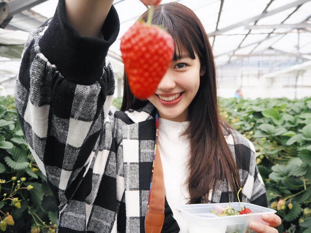 中村里帆さんのインスタグラム写真 - (中村里帆Instagram)「80個食べようって意気込んで行ったのに40個でタイムアップ... もぎ取るのがビックリするくらい下手で、あれでかなり時間をロスしたな〜まさかこの場面でも不器用が出てくるなんて😩」3月18日 22時20分 - __rihostagram__