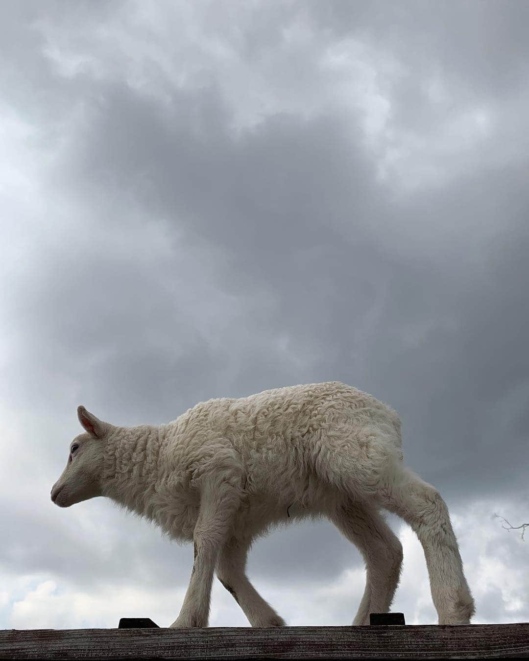 藤田日和のグルメインスタ