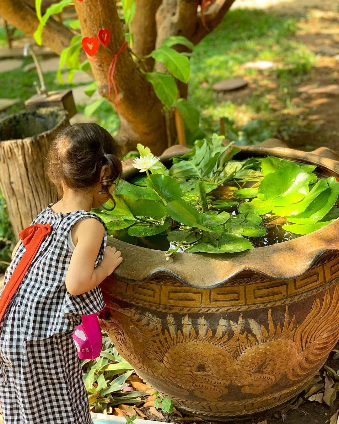 中村明花さんのインスタグラム写真 - (中村明花Instagram)「. 可愛いお店でランチ🌿 暑い暑いタイですが、日陰なら外で食べるのも気持ちいいくらいです😊 （しかもどのお店もほとんど外で食べる時は大きな扇風機を回してくれます🌀） . タイに来る前は蚊に刺されないか心配していましたが…家でも見かけた事がないので今のところ一度も刺されずにいる娘と私✌️ こういった緑沢山のところに行く時は、タイの蚊にはタイの物が効くと聞いたので…タイの虫除けスプレーを持ち歩いています☺︎ . . #タイ料理やっぱり美味しい♡ #夫のオフにお出かけ #写真以外にも他のご飯や飲み物デザート色々頼んで500バーツだった #1700円くらい #安っ #タイ最高 #タイ #タイ生活 #田舎町 #Thailand」3月18日 22時33分 - sayaka_nakamura3