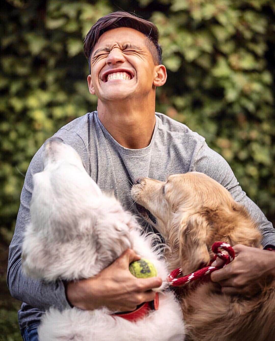 アレクシス・サンチェスのインスタグラム：「🐶🐶」