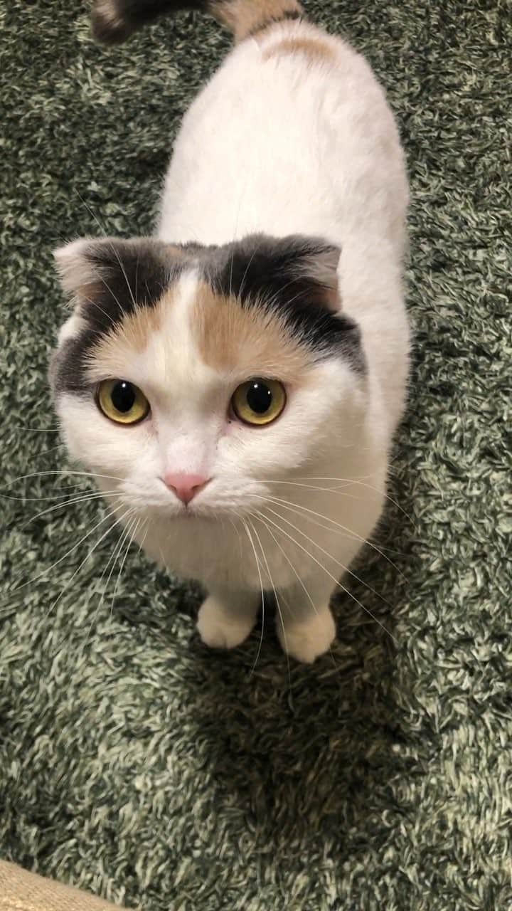 のインスタグラム