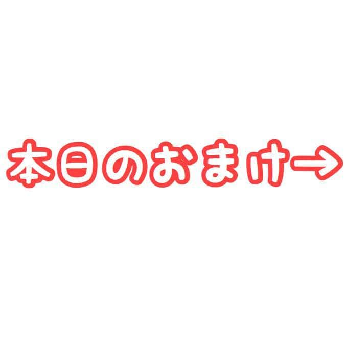 セロリさんのインスタグラム写真 - (セロリInstagram)「【トリミング】 昨日、トリミングに行って来ました。 素敵にカットしていただきました。 ありがとうございました。 5枚目と6枚目は、alice houseさんからお借りした画像です。 @alice_house.official #maltese #マルチーズ #トリミング #アリスハウス #malteseofinstagram #maltese101 #malteser #malteseofficial #maltesedog #dog #instadog #dogstagram #dogoftheday #doglovers #instapet #adorable #ilovemydog  #ペット #わんこ #ふわもこ部 #犬のいる暮らし #いぬら部  #いぬすたぐらむ #僕的には2枚目最高」3月18日 23時12分 - celeryrabbit