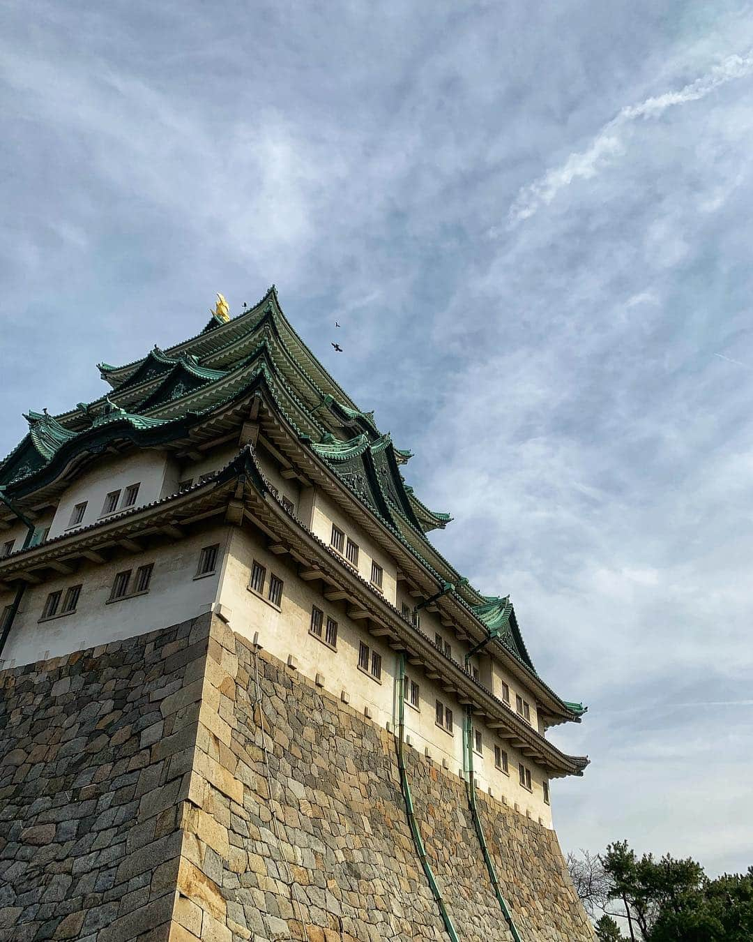 落合将人さんのインスタグラム写真 - (落合将人Instagram)「ちょっと早めに着いて  名古屋駅→ルーセントアベニュー→四間道→名古屋城→大須商店街  歩いたら疲れたー！ けど、ゆっくり見れてよかった✨  #名古屋 #名古屋城 #nagoya」3月18日 23時08分 - masato_ochiai