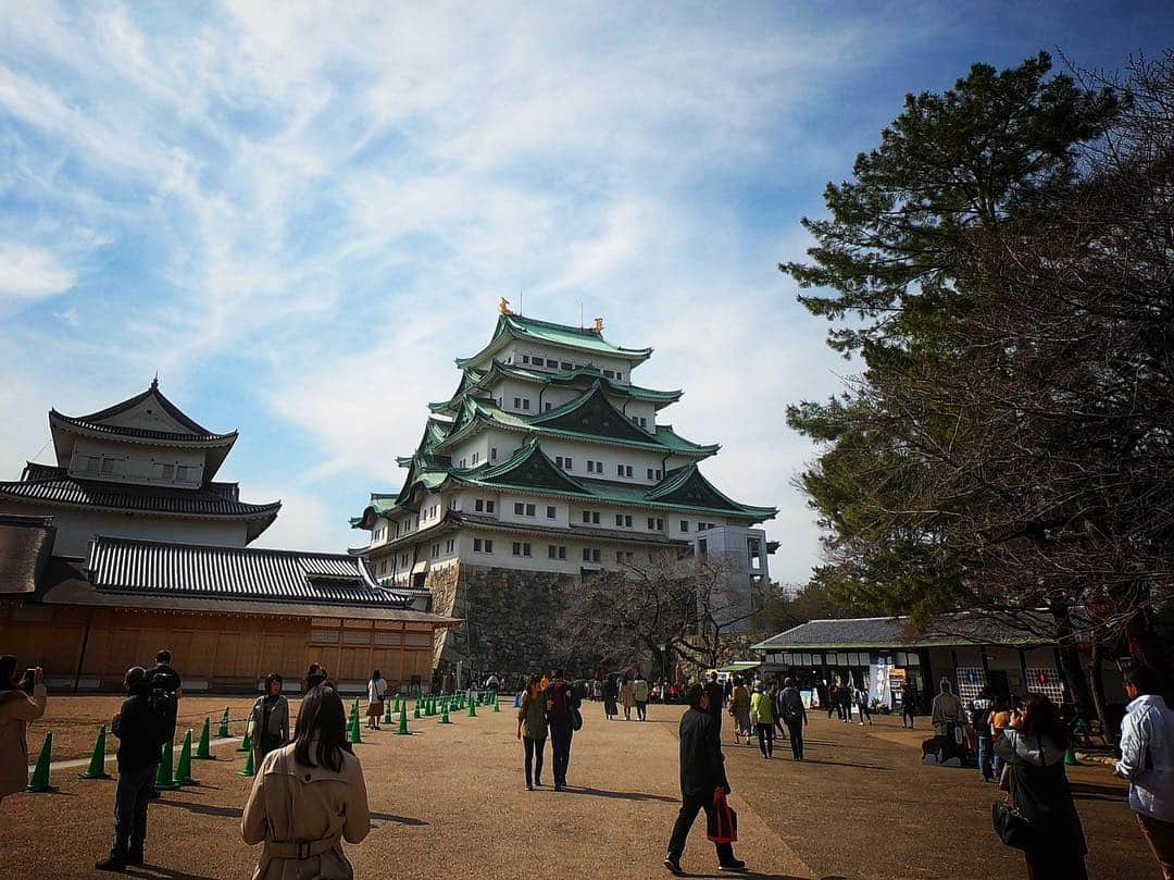 落合将人さんのインスタグラム写真 - (落合将人Instagram)「名古屋城は中には入れなかったけど、外を回って堪能しました。 お城カッケー✨🏯キャッスル🏰 お城を眺めながらインスタライブにお付き合いいただいた皆様ありがとうございました。 地下通路にはお洒落に建物や猫、魚などが描かれてたり、ステンドガラスが鮮やかだったり、歩くだけで楽しいですね〜  懐かしの四間道。 路地裏でランチ。 チーズフォンデュハンバーグ。 もちろん名古屋飯あんかけパスタも堪能。 李さんの唐揚げは臨時休業。 なーんか地下鉄乗るのワクワクしました。  #名古屋 #名古屋城 #名古屋飯  #あんかけパスタ #四間道」3月18日 23時17分 - masato_ochiai