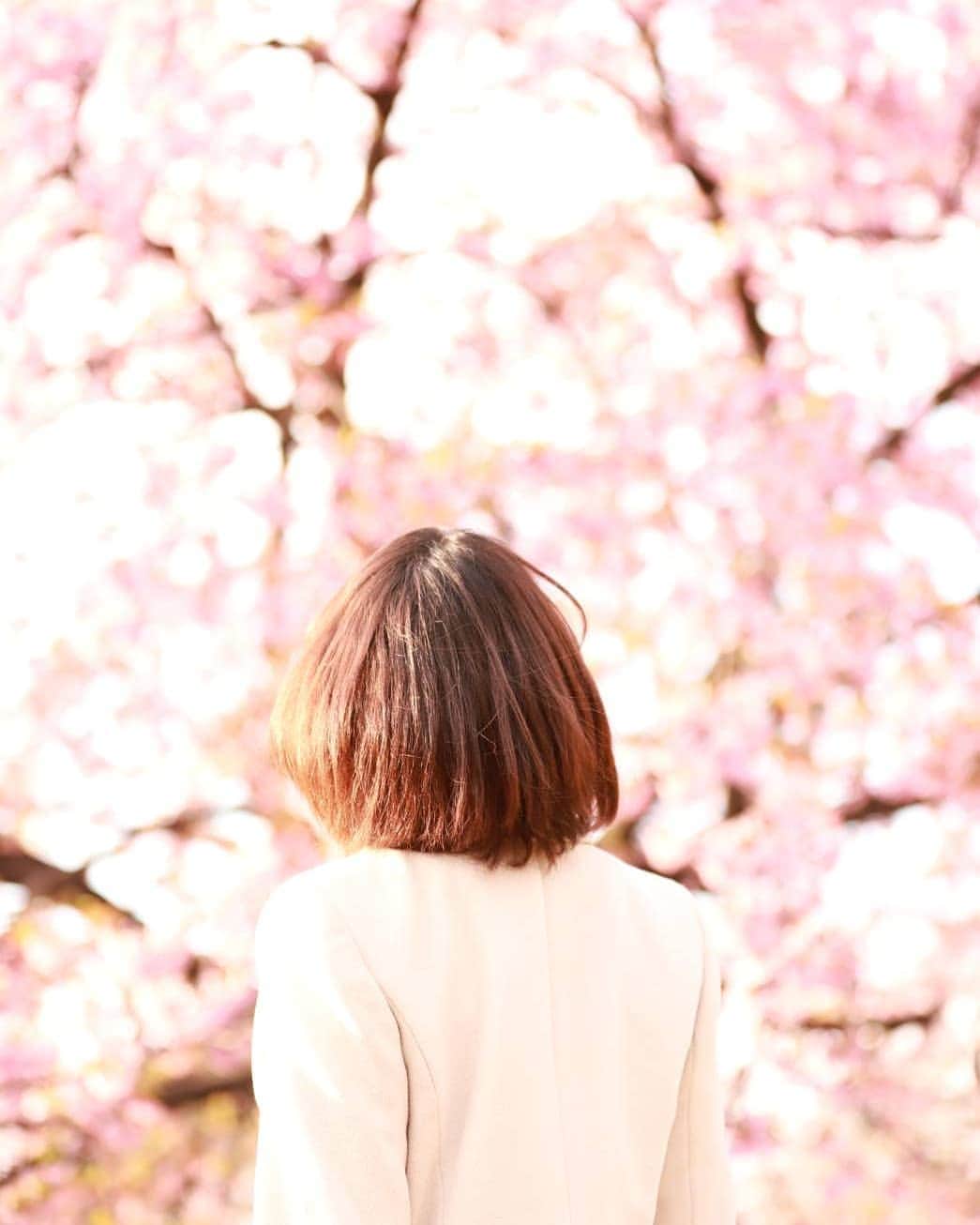 宮森セーラさんのインスタグラム写真 - (宮森セーラInstagram)「春を味方に。」3月18日 23時24分 - sela_miyamori