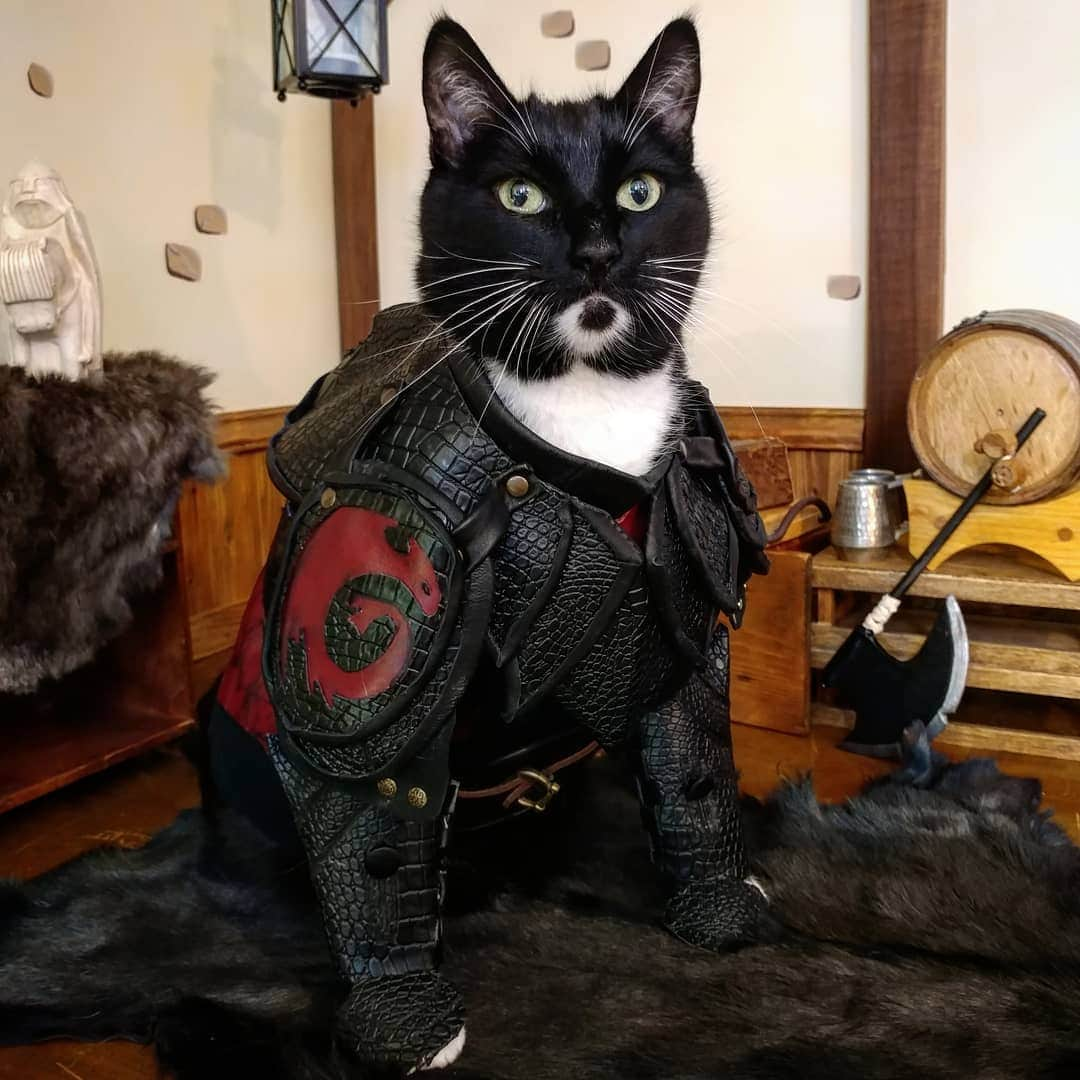 猫コスプレさんのインスタグラム写真 - (猫コスプレInstagram)「Often when it comes to change, we focus too much on what we have to lose and lose sight of what we have to gain.  #HowToTrainYourDragon #HTTYD #Hiccup . . . . . . . . . #httydfanart #httydfandom #httydcosplay #hiccupcosplay #hiccuphaddock #howtotrainyourdragoncosplay #CatCosplay #cosplay #catarmor #armor」3月18日 23時27分 - cat_cosplay