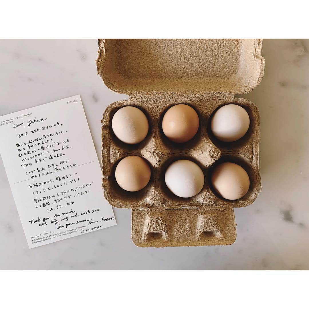 のインスタグラム：「新潟の友人から贈り物🥚🥚🥚 人生初の烏骨鶏の卵 🐓  見たことも 食べたこともなかったので、送ってくれました！！とっても小さくて可愛いです。  しかも有精卵🐣☝🏻😳💦 「せっかくだし孵化させようか？」と相方に相談。→色々とシュミレーションし考えた結果、この度は食べさせて頂くことにしました😑🙏🏻✨ #いのちの循環を感じます #ありがとう  #新潟県産コシヒカリ🌾 #BrownRice  #🥚 @fusa_chaos  #Loveyou #いつもありがとう #卵かけご飯」