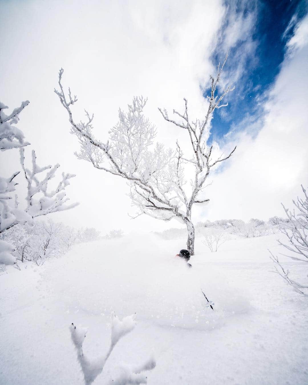 クリス・バーカードさんのインスタグラム写真 - (クリス・バーカードInstagram)「Siberian winds never felt so good. Japan has quickly become one of my favorite places on earth, every experience whether surf or snow has introduced me to a different part of its delicate culture. Excited to be heading back at the end of this month for a project I have been dreaming about for a few years now.  @kcdeane」3月18日 23時35分 - chrisburkard