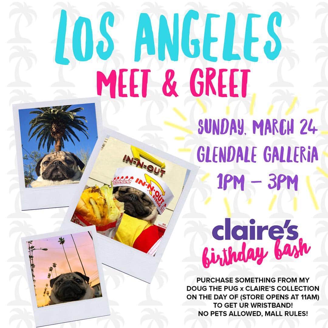 itsdougthepugさんのインスタグラム写真 - (itsdougthepugInstagram)「LOS ANGELES!! U guys have been asking for a meet and greet and now it’s happening! Come meet me at the @clairesstores in Glendale Galleria on Sunday, March 24 from 1-3 PM 🎉🌴」3月19日 9時11分 - itsdougthepug