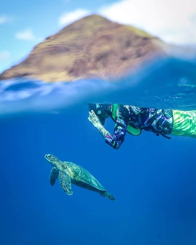 And Youさんのインスタグラム写真 - (And YouInstagram)「Discovering the wonders of the ocean will make you wish you had gills 🐢🐠🐟💦. . . . #discoverocean #seaturtle #underwaterphotography #ocean #hawaiistagram」3月19日 9時13分 - dolphinsandyou