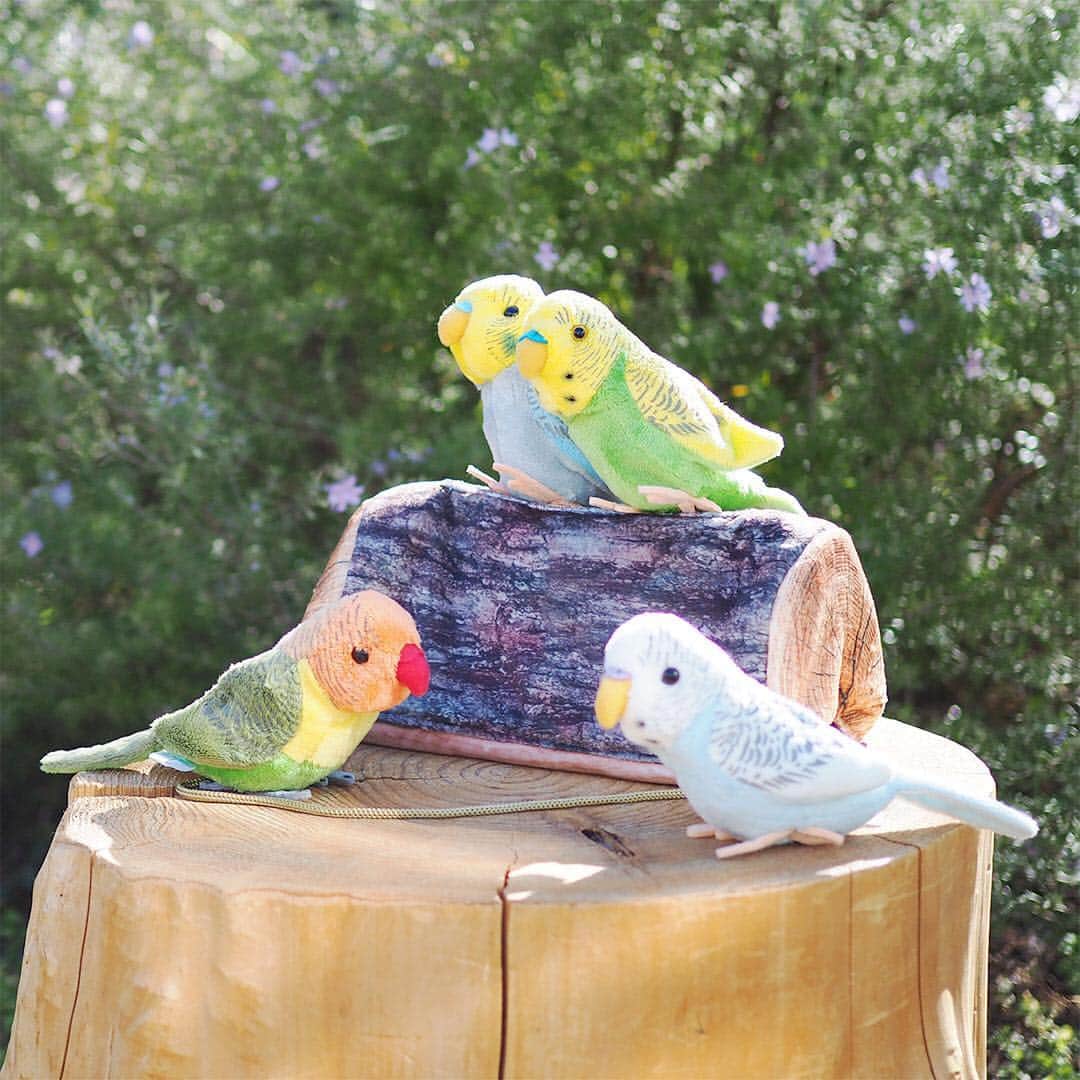 ワンズテラスのグルメインスタ