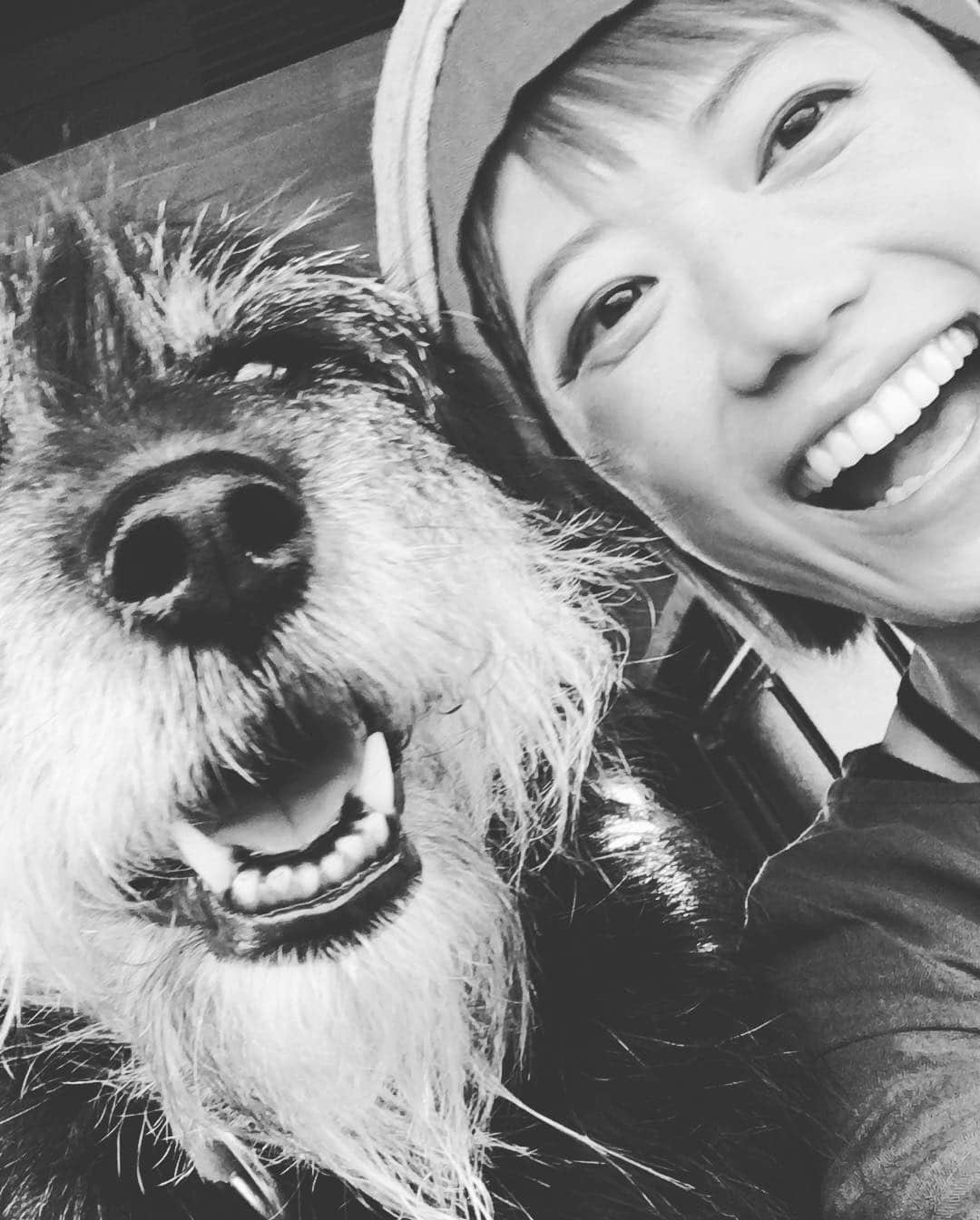 甲斐麻美さんのインスタグラム写真 - (甲斐麻美Instagram)「マイラブ❤️ オド可愛い。ああオド可愛い。  あさみちゃんは前髪切りすぎておかしな事になってるのでターバンで無理やり抑えてます（笑）相変わらずよね😅はーん  #元保護犬 #元保健所犬 #里親になろう #優しい選択を #いぬとわたし #笑う犬 #犬との暮らし #甲斐麻美 #mylove」3月19日 10時08分 - kaico_asami