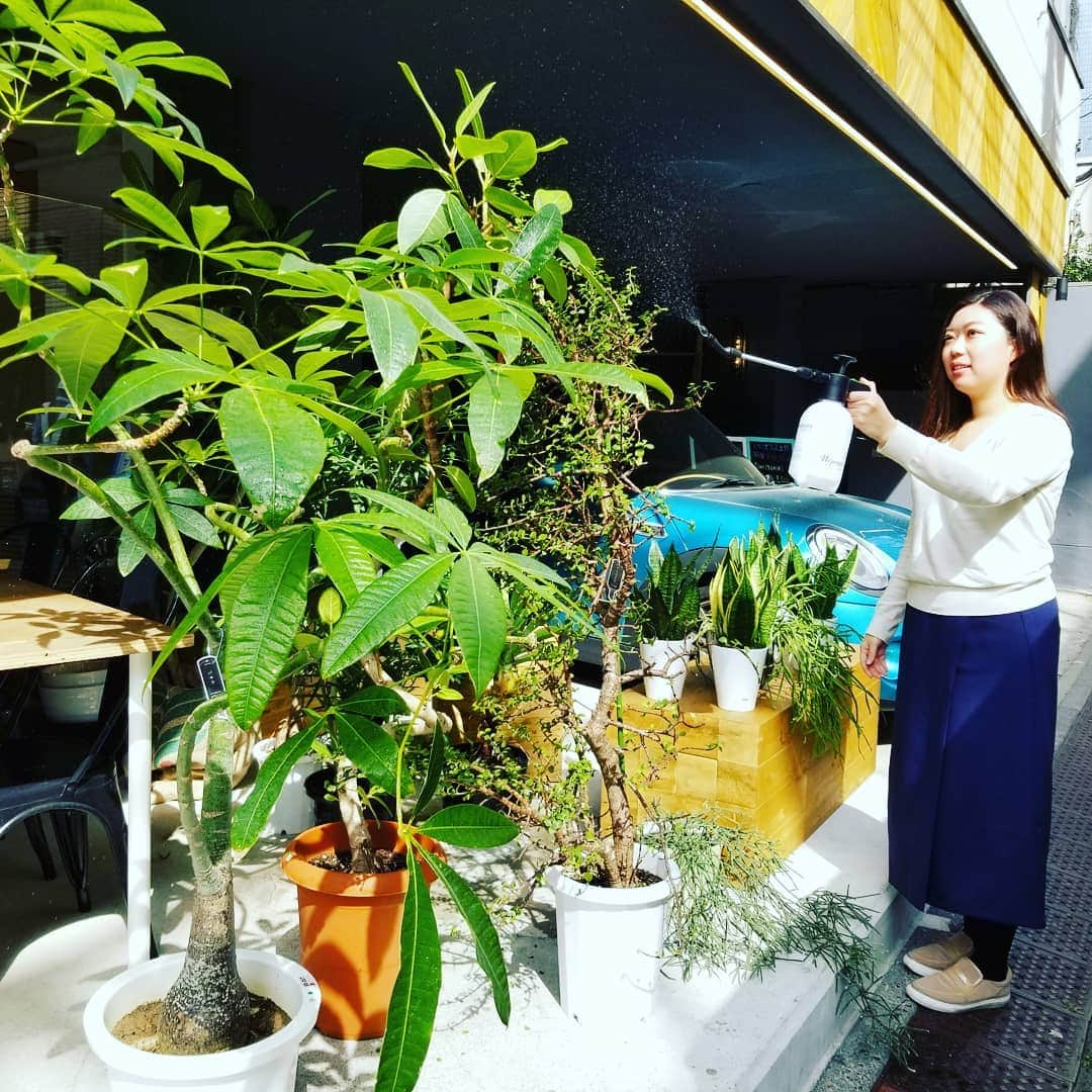 いいオフィスさんのインスタグラム写真 - (いいオフィスInstagram)「朝から植物の日光浴と水やりをしています！ 今日も素敵な1日になりますように！ #コワーキングスペース #シェアオフィス #いいオフィス上野 #新御徒町 #植物 #plants #水やり #日光浴 #太陽 #気持ちいい」3月19日 10時25分 - e_office_ueno