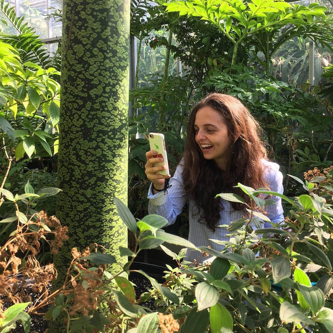 ニューヨーク植物園さんのインスタグラム写真 - (ニューヨーク植物園Instagram)「🌱As part of #plantlove at NYBG, we’re talking with people from all over the Garden about what inspires their passion for plants. Meet Cecilia Zumajo, a Ph.D. student and #femalescientist studying plant evolution and development of gymnosperms here at NYBG. 💚  #womenshistorymonth . “I grew up in Colombia, a neo-tropical country that exposed me to the enormous diversity of flowers and fruits, in terms of shapes, colors, textures, everything! When I came to New York, the landscape was very different. In Colombia, gymnosperms in particular were invasive. I only knew the pine forest which we cultivated for wood, which caused the soil to become very acidic. Nothing else grew there after the pines. But here, much of the green that you see during the winter comes from the gymnosperms! I think that’s what triggered my interest in them. I started looking at the reproductive structures. When you see the seeds, they don’t have fruits, and it’s fascinating to me that they developed a different strategy for dispersal! I like to walk in the Benenson Ornamental Conifers, viewing the different tree architecture, bark patterns, and leaf colors, each a unique aspect of my love for these plants.”」3月19日 2時30分 - nybg