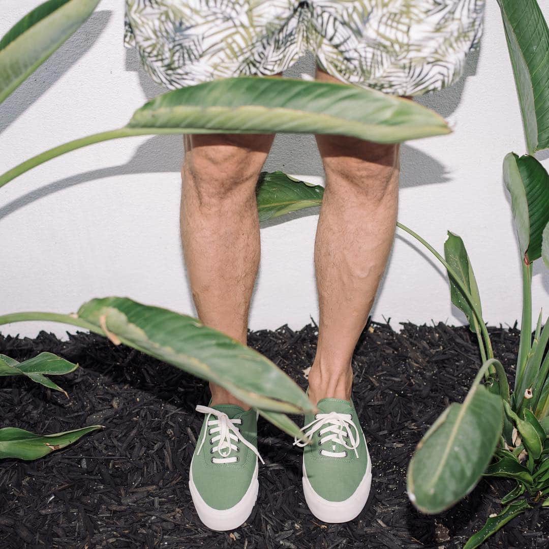 シービーズのインスタグラム：「Legendary. The shoe that started it all, back in 1964. The very first silhouette we ever made is looking as good as ever in new spring colors 🌱」
